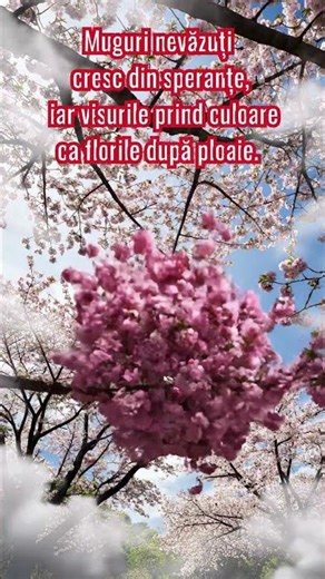 Primăvara în suflet 🌸 Mesaj de primăvară motivațional și emoționant
