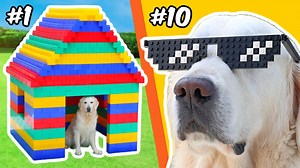 给狗狗搭的乐高玩具 - TD BRICKS