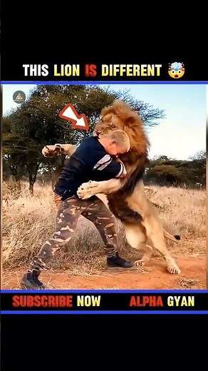 Animal Behavior Facts 🤯😱#shorts #facts