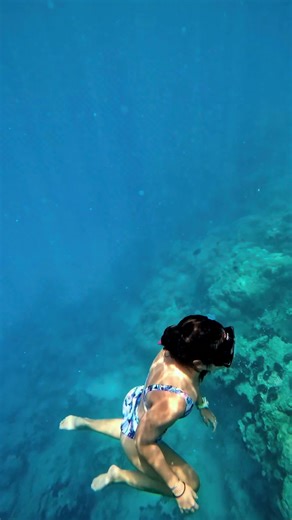 Why your next dive needs our Scuba Bikini! 🌊✨ Say goodbye to uncomfortable dive gear and hello to swimwear that stays put, feels amazing, and levels up your dive game. Whether you’re exploring coral reefs or taking the plunge into deeper waters, the Scuba Bikini is designed to keep up with every adventure. 💬 Send me a DM to learn how I can help you STOP feeling uncomfortable in your dive gear and START experiencing enhanced diving with our Scuba Bikini. #ScubaStyle #SustainableSwimwear #DiveFa