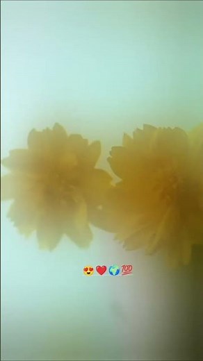 ❤️ समजून घेणं हेच खरं प्रेम ! | Husband Wife Marathi Motivation | Emotional Video !