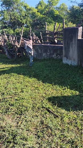 taso (@taso3379)’s videos with original sound - taso