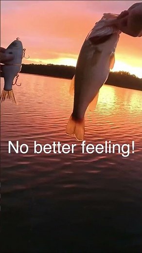 That first hook set feeling #glidebait #bassfishing #fishing