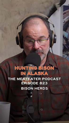 Responsible Hunting of Alaska's Bison Herds
