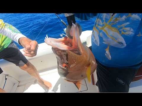 Key Largo Patch Reef Fishing 4/19/2026 Hogfish Hammer!