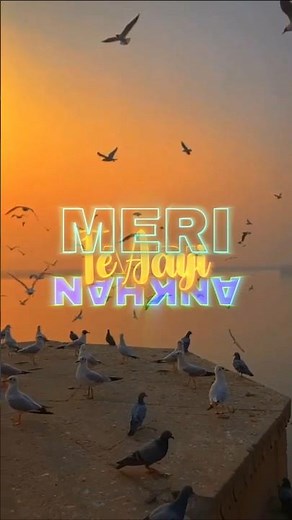 🎵 Aari Aari Song Lyrics | Dhurandar 2 | Full Hindi Lyrics Video 💖✨