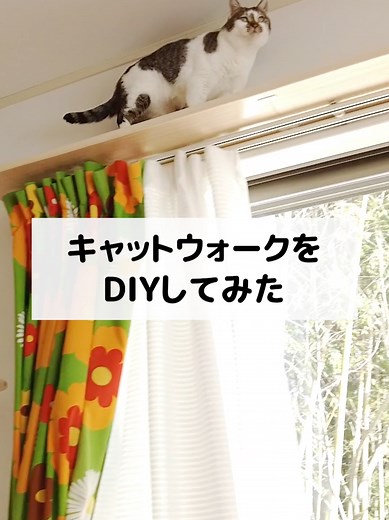 DIYで夢のキャットウォークを作りました！