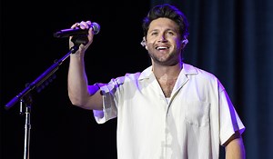 Niall Horan's Business Interests Go In More Than One Direction