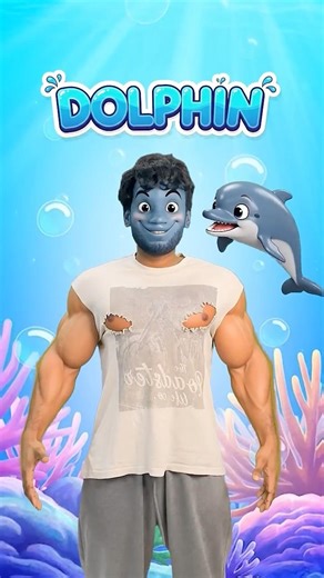 Animals Names For Kids Eagle Elephant Lion Tiger Dolphin 🐅🐬