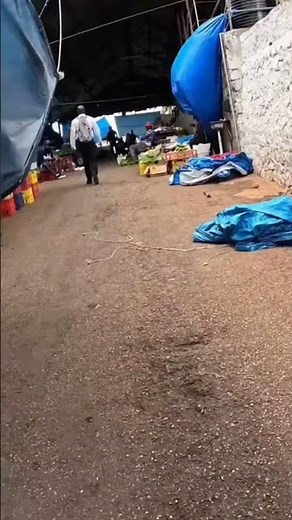 🇯🇲 Hidden Jamaican Market Tour! Mandeville's Secret Alley FULL of Culture & Vibes!