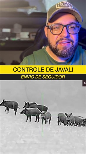CONTROLE DE JAVALI (envio de inscrito) #caça #java #controledepragas