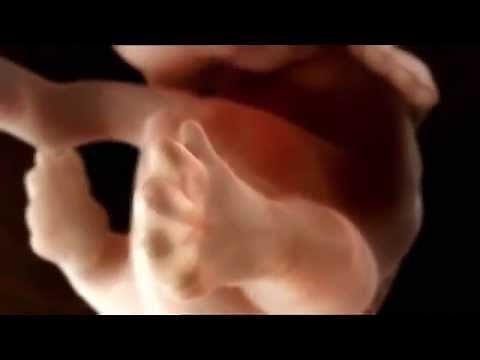 Il miracolo della vita