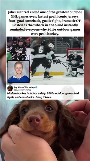 Bring Back The Golden Era Of Hockey 🏒 #memes #funny #pets