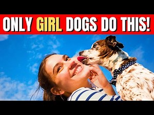 12 Things Only Female Dogs Do with Their Owners (You Need to See!)
