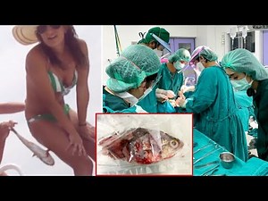 10 Times Animals Got Stuck in Humans