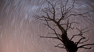 The Leonid meteor shower peaks this weekend. Here's what to know to watch in New Mexico.