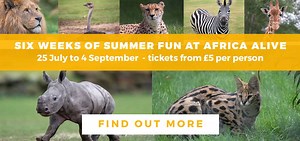 Guide to Woodbridge - a historic, riverside town in Suffolk