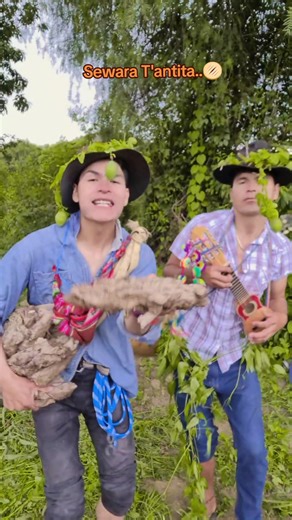Sewara T'antita Charango in Bolivian Culture