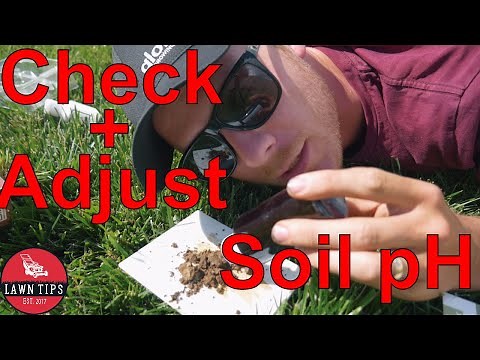 How To Test Soil pH In Lawns