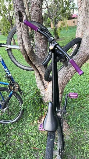 Aura ‪@Lil_floppa-1‬ ‪@Giraffetrain_VR‬ #mtb #bike #dirtjumper #dj #edit #fyp