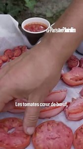 Comment récupérer et conserver ses graines de tomate ?