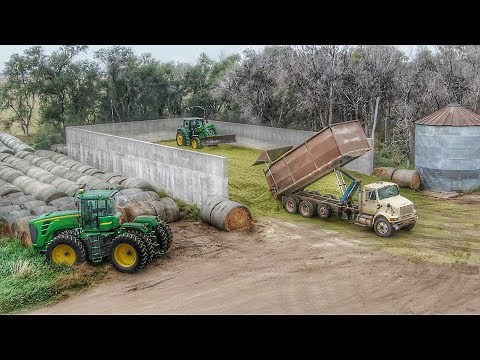 Truck After Truck Filling Silage Bunker