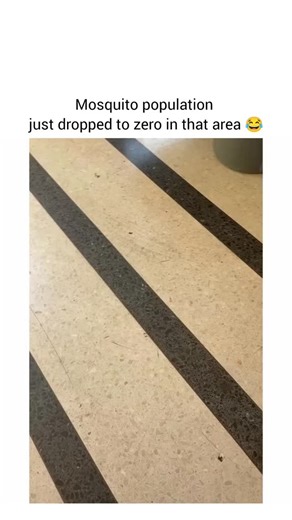 ꜱᴜᴅʜᴀɴꜱʜᴜ💖 on Instagram: "Looks like someone decided to go full "terminator" on a swarm of bugs! 🦟⚡ Armed with an electric fly swatter and a whole lot of determination, this person turns a trash can into a high-voltage disco party. 🕺✨ Every swing sounds like a mini firework show as they zap away at what must be an entire civilization of flies or mosquitoes. It’s equal parts satisfying and chaotic—you can almost feel the static in the air! 🔋 Who needs professional pest control when you have a