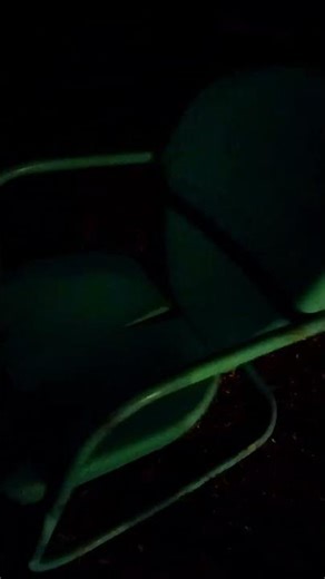 dropping of metal chair sound effect