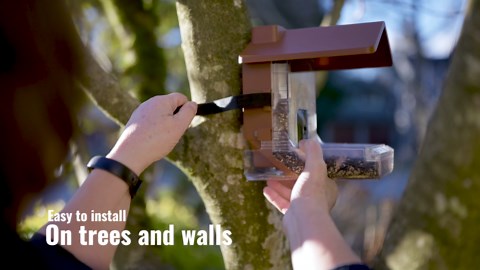 Wasserstein Bird Feeder Camera Case Compatible with Blink, Wyze & Ring Security Cameras Including Blink Outdoor 4, Wyze Cam OG & Ring Stick Up Camera (Camera NOT Included)