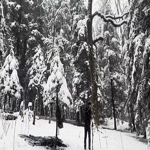 6.3K views · 47 reactions | Winter Camping Survival Guide in a Snowstorm - Tips and Tricks | Show Brincos Dierass Mexico us | Facebook