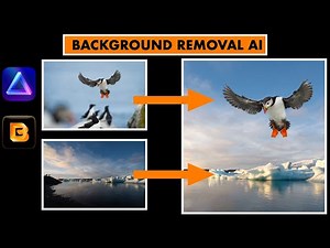 Luminar Neo - Easy Background Removal with AI