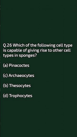 Biology Zoology Botany Porifera #uppscltgrade #biology #porifera #zoology