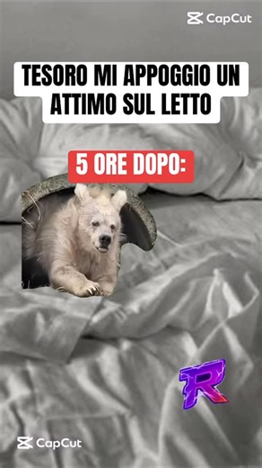 Gianluca Maietta | RaggatanzTV on Instagram: "Chiudo un attimo gli occhi!😂 #powernap #pennica #meme #memesdaily #memeclips"