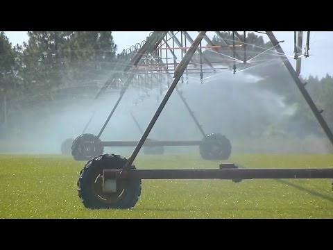 Modern, Efficient Irrigation Systems Save Money For Farmers