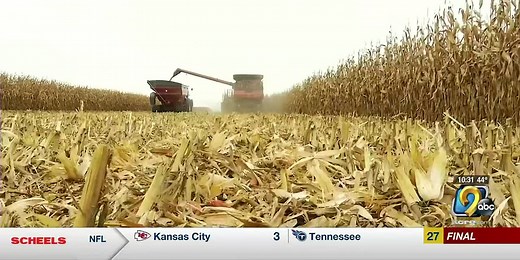 Farmers harvest corn at Field of Dreams