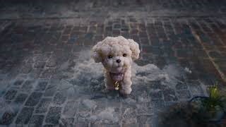 Aldi Christmas Advert 2025 Part 1 | What's on the cards for Kevin the Carrot this Christmas? advert UK