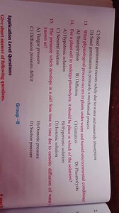 What physiological process occurs in plants under warm and humi... | Filo