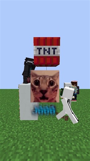 IF THE TNT EXPLODES YOU LOSE 🧨💥