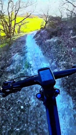 Flow del tren burra. ¿Eres más de flow o técnico?