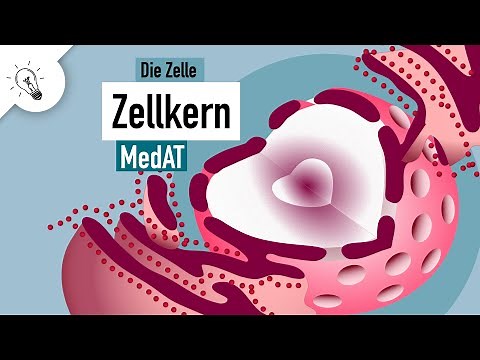 Cell nucleus | Structure & function | MedAT | Biology