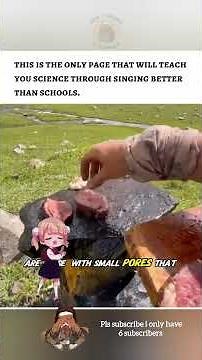 Do You Know How Dangerous it Is to cook on a rock while camping