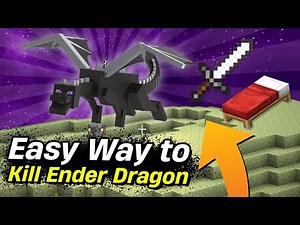 How To Beat The ENDER DRAGON EASY! (10 Tips in Hindi)