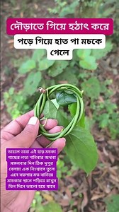 হাড় মচকা গাছের কবিরাজি টোটকা জেনে রাখুন। #plants #shortvideo #plantsofindia #nature