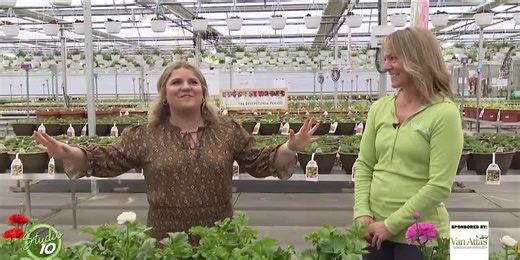 How to put the ‘plan’ in planting this early spring