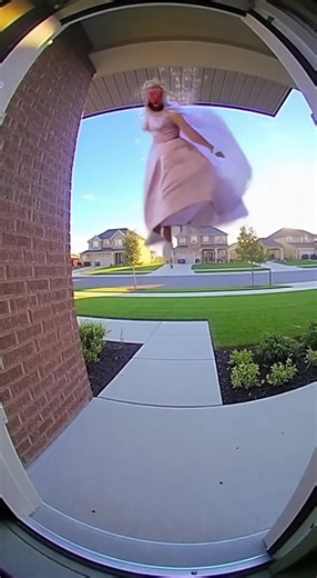 princess Jake is here