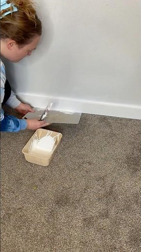 Repainting and Touching up baseboards on carpet without removing them