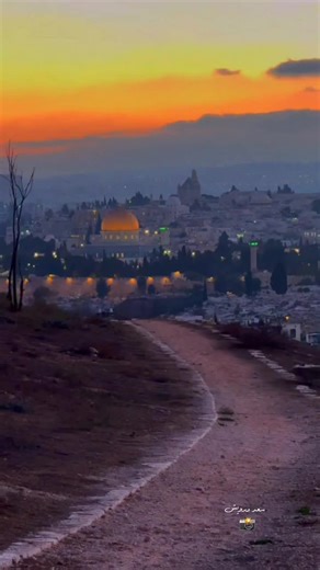 The Beauty of Palestine 🇵🇸 جمال فلسطين 🇵🇸 #Palestine #Gaza #FreePalestine #StandWithGaza #PalestinianCulture #PalestineHeritage #GazaLife #PrayForGaza #PalestinianArt #PalestineHistory #ViralVideo #Duet #TikTokChallenge #Explore #FYP #ForYou #Viral #Trending #TikTokTrend