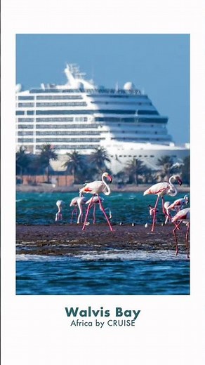 ピースボートクルーズで行くアフリカの旅-ウォルビスベイ-