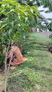 565K views · 2.4K reactions | #TIMELAPSE: START to FINISH Alone BUILD LOG Cabin (Wooden House), How To Build Wooden Cabin, Surviva | sarita ki life | Facebook