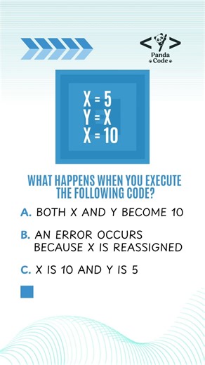 Python quiz (variable) | 🐼 Panda Code 🐼